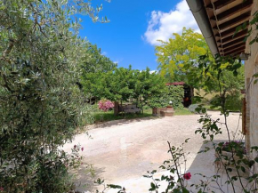 La Bottega di Torreluca